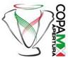 Copa MX