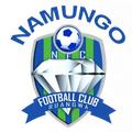 Namungo FC logo