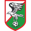 Sokol Kleczew logo