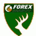 Forex Brasov