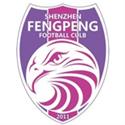 Shenzhen Fengpeng