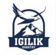 FK Igilik logo